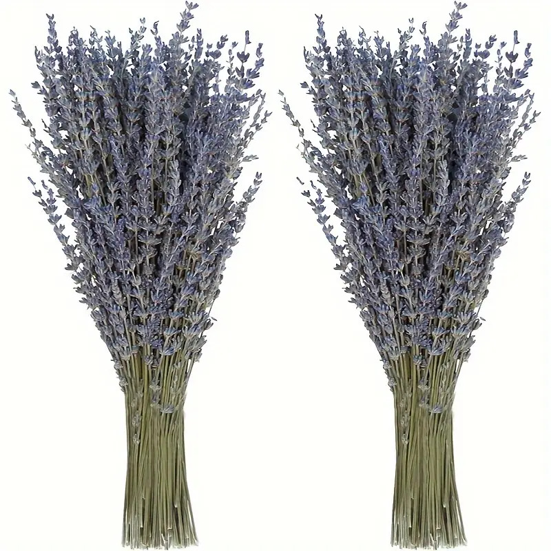 Dried Flower Bunch - 200 sztuk/pęczek Suszone kwiaty lawendy do