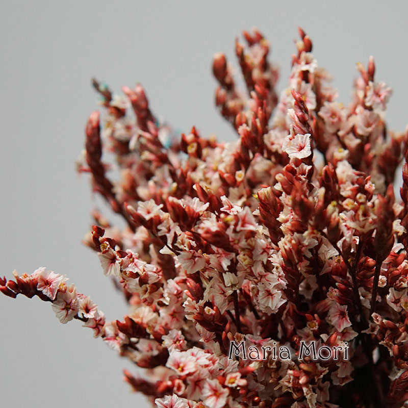 Dried Flower Bunch - 5g/kolorowe Dired zachowane kryształowe trawa Home