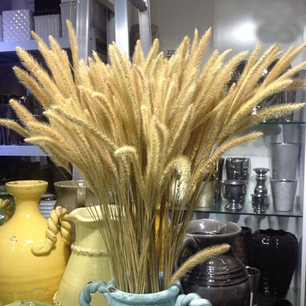 Dried Flower Bunch - 200 sztuk naturalnych suszonych bukietów Lagurus
