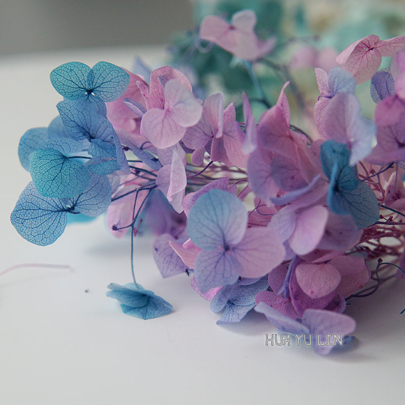 Dried Flower Bunch - Ombre Gradient Suszone Konserwowane Hortensje Kwiaty