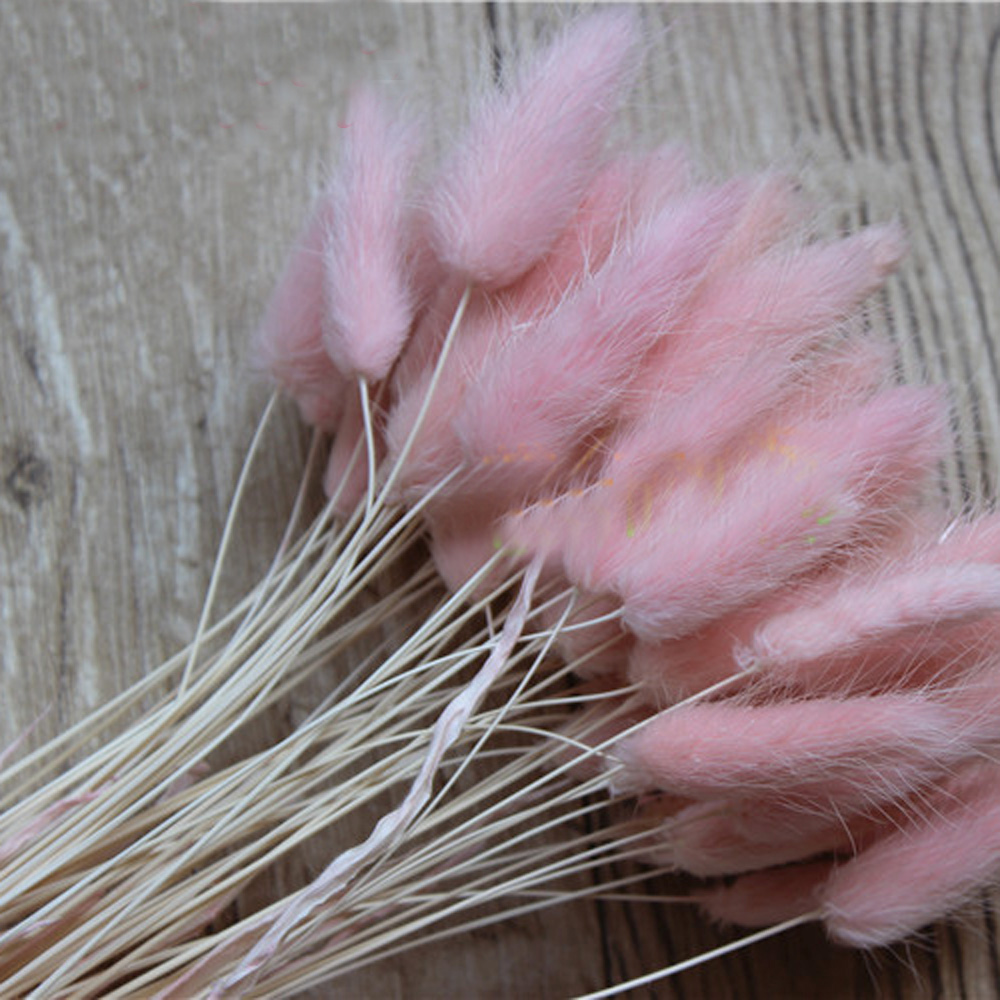 50 szt. suszonych naturalnych  – Dried Flower Bunch recenzja i cena