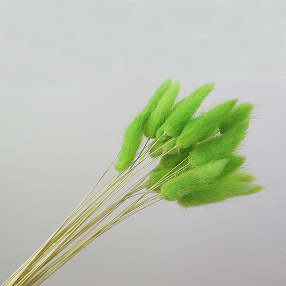 50 szt. suszonych naturalnych  – Dried Flower Bunch recenzja i cena