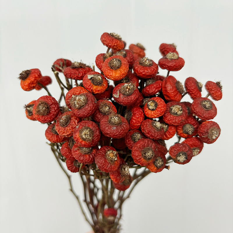 10 sztuk/pęczek Suszone kwiaty – Dried Flower Bunch recenzja i cena