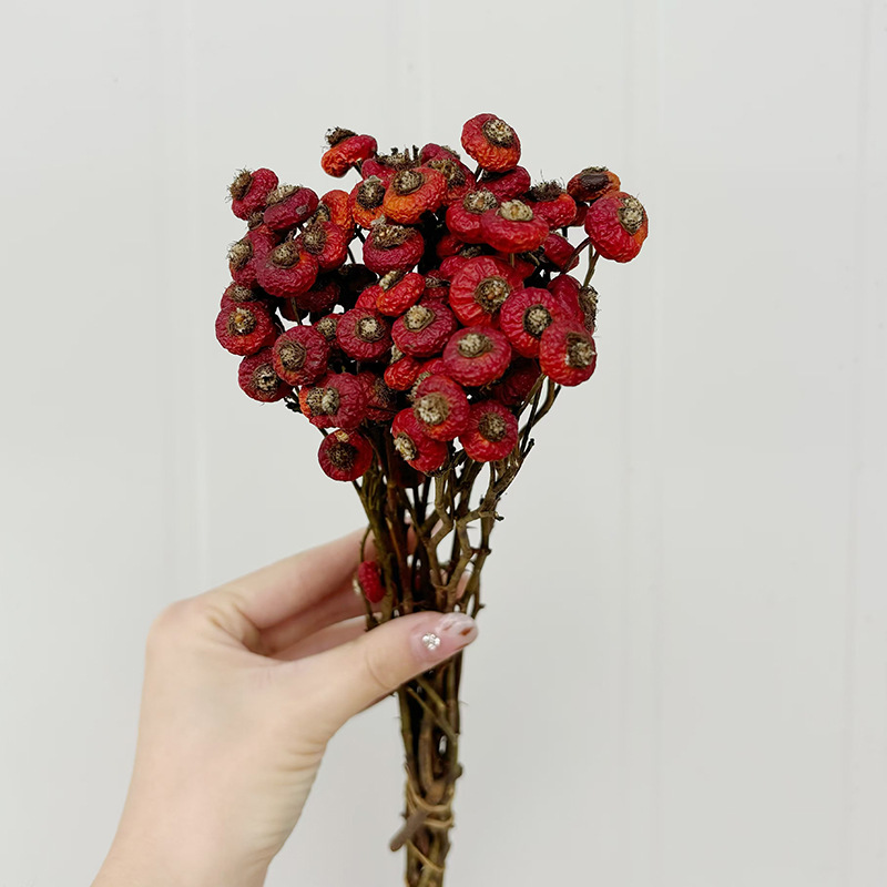 10 sztuk/pęczek Suszone kwiaty – Dried Flower Bunch recenzja i cena
