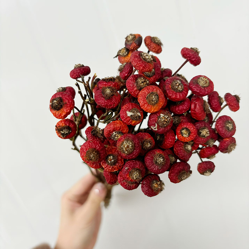 10 sztuk/pęczek Suszone kwiaty – Dried Flower Bunch recenzja i cena