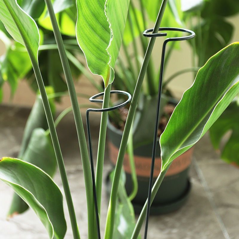 1/10 szt. Metalowy pierścień p – Florist Supply Bulk recenzja i cena