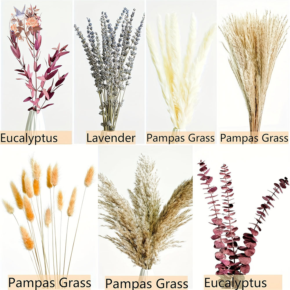 75 SZTUK Suszony Bukiecik Kwia – Dried Flower Bunch recenzja i cena