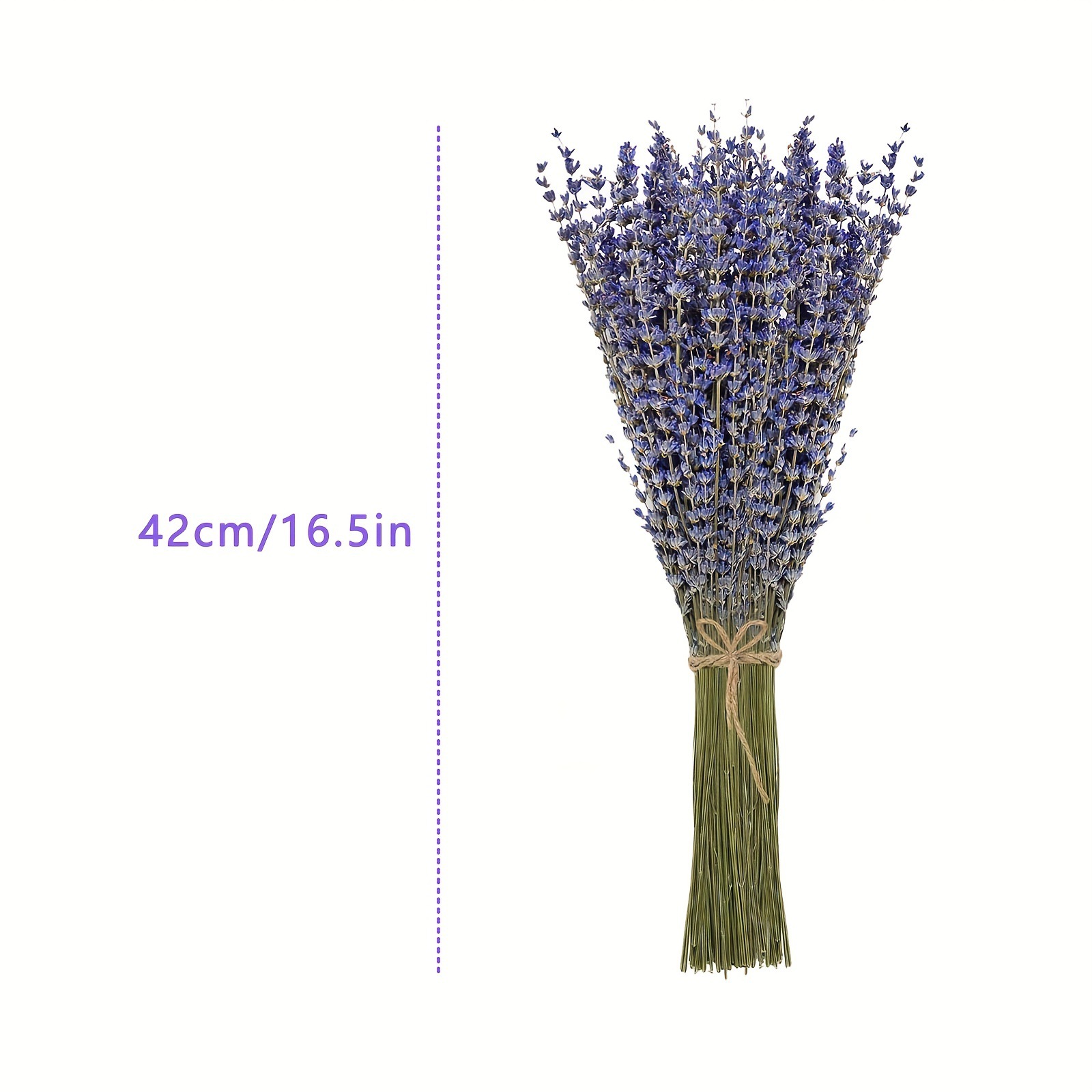 200 sztuk/pęczek Suszone kwiat – Dried Flower Bunch recenzja i cena