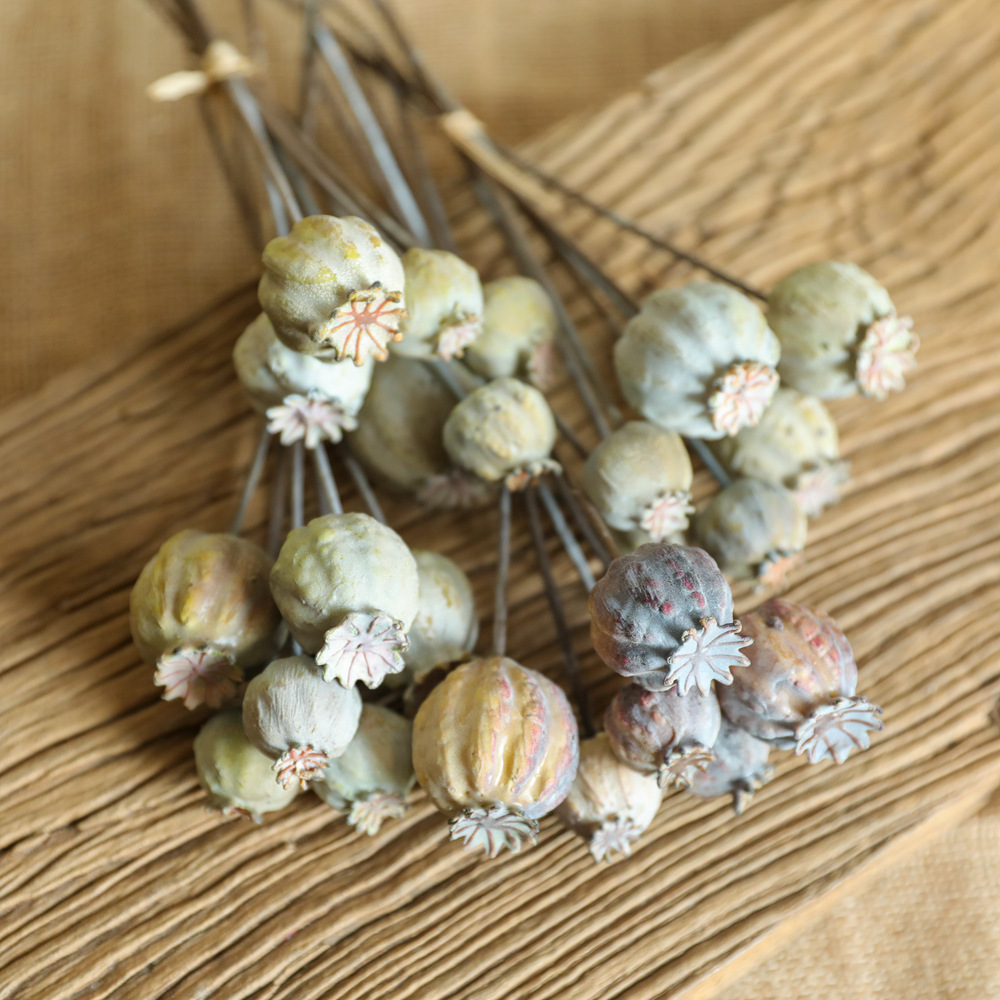 6 głów maki owoce suszony kwia – Dried Flower Bunch recenzja i cena