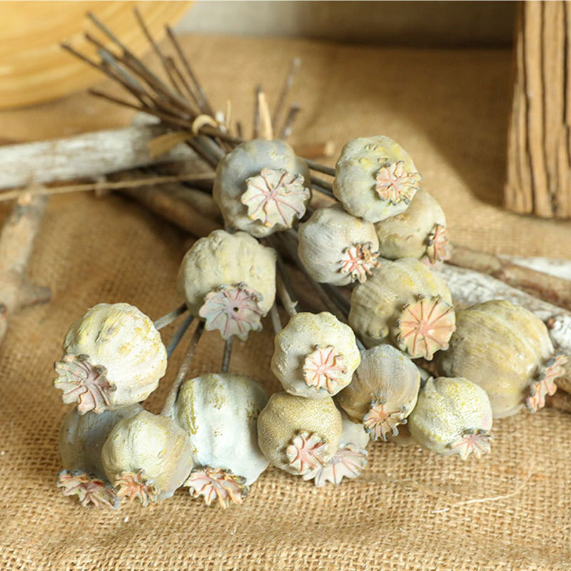 6 głów maki owoce suszony kwia – Dried Flower Bunch recenzja i cena