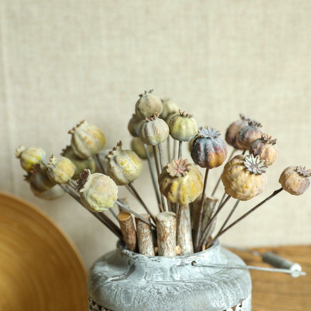 6 głów maki owoce suszony kwia – Dried Flower Bunch recenzja i cena