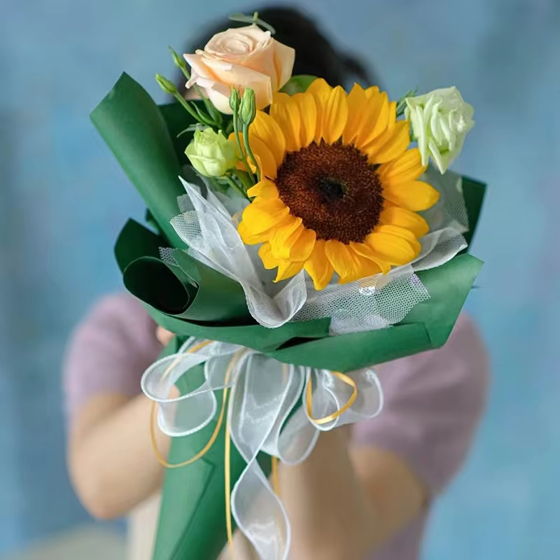 10 jardów/rolka Przezroczysta  – Ribbon Organza Roll recenzja i cena