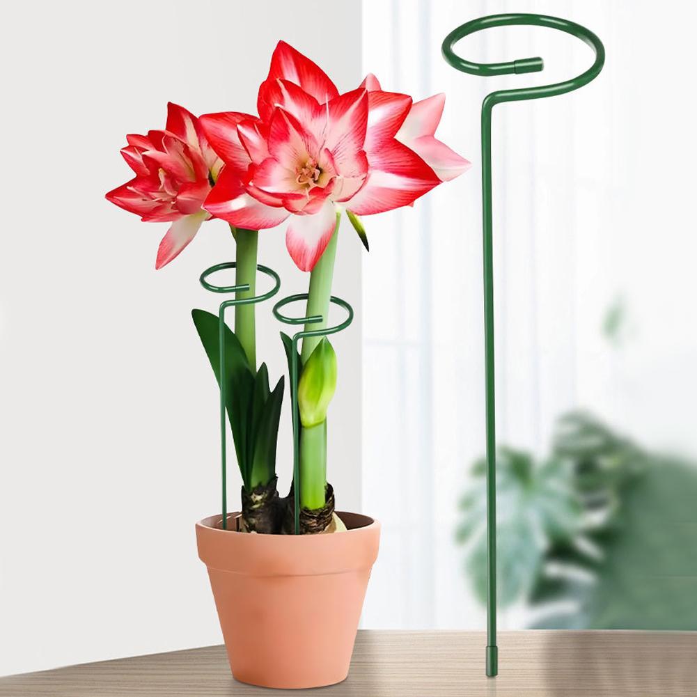 Metalowe podpórki do roślin, p – Florist Supply Bulk recenzja i cena