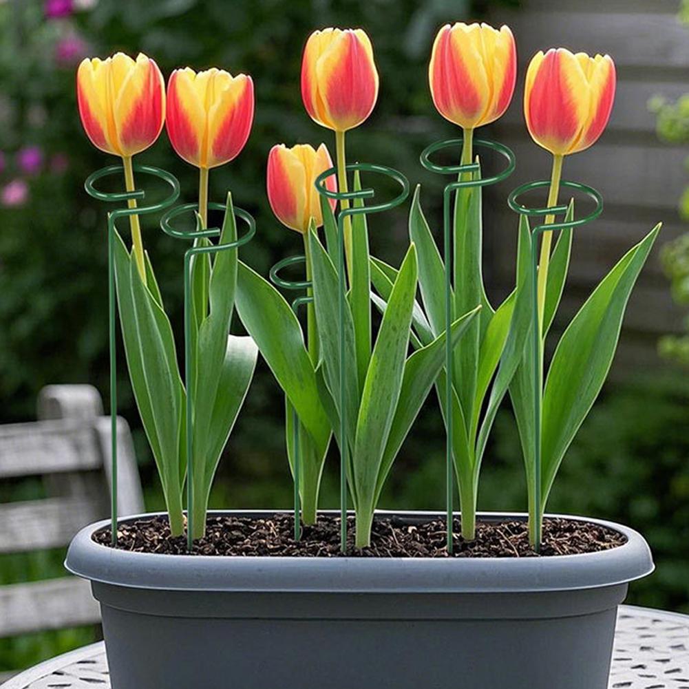Metalowe podpórki do roślin, p – Florist Supply Bulk recenzja i cena