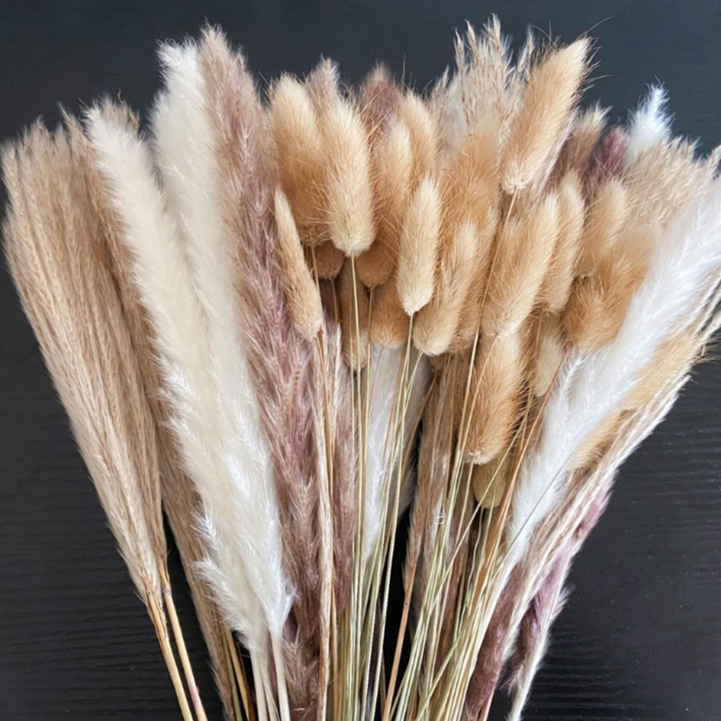 Luzem 100 szt. Suszonych pędów – Dried Flower Bunch recenzja i cena