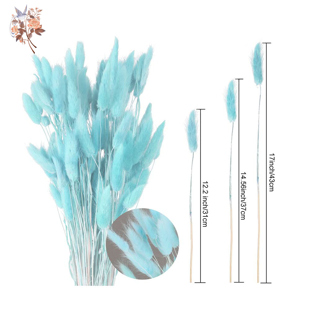 100 szt. Naturalne królicze og – Dried Flower Bunch recenzja i cena
