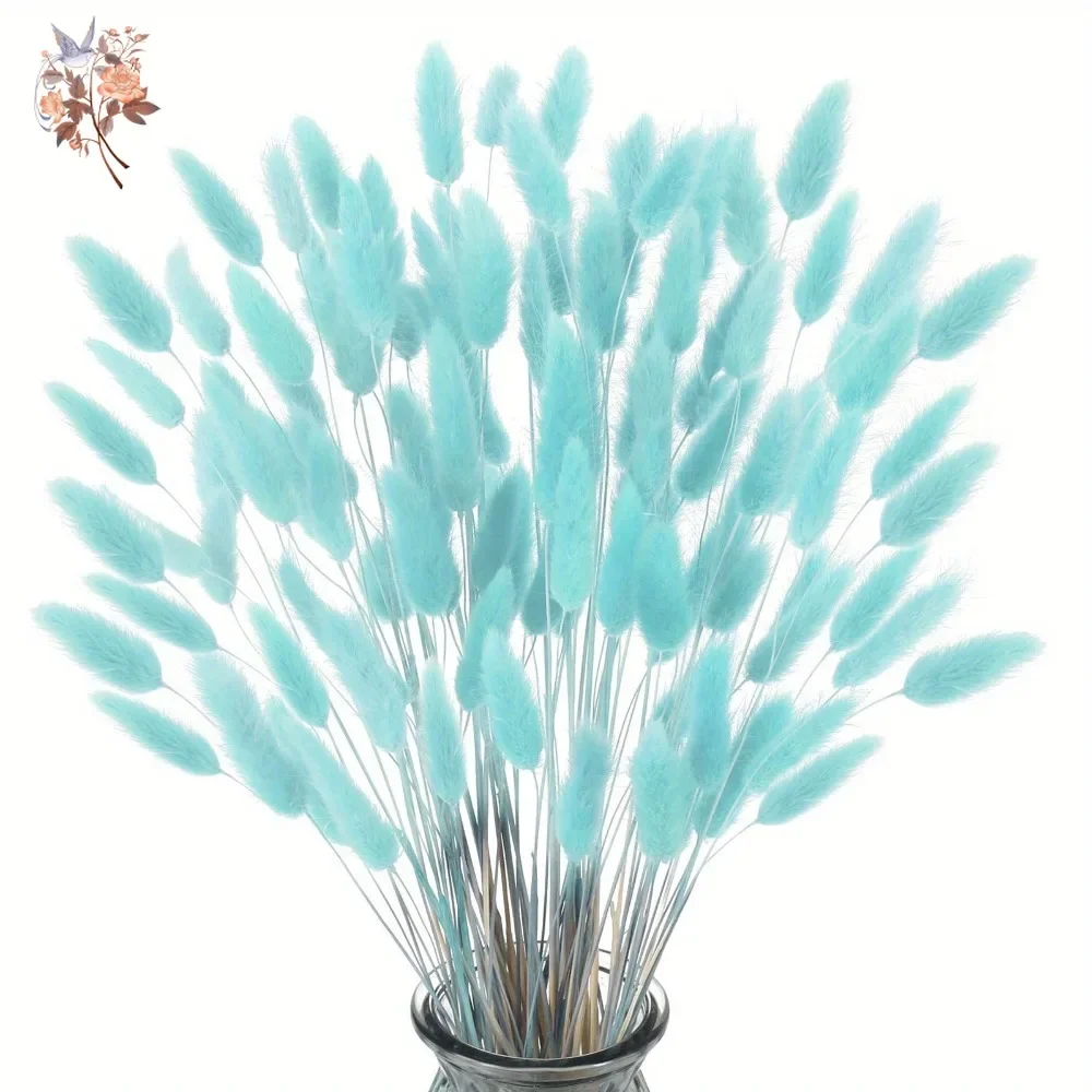 100 szt. Naturalne królicze og – Dried Flower Bunch recenzja i cena