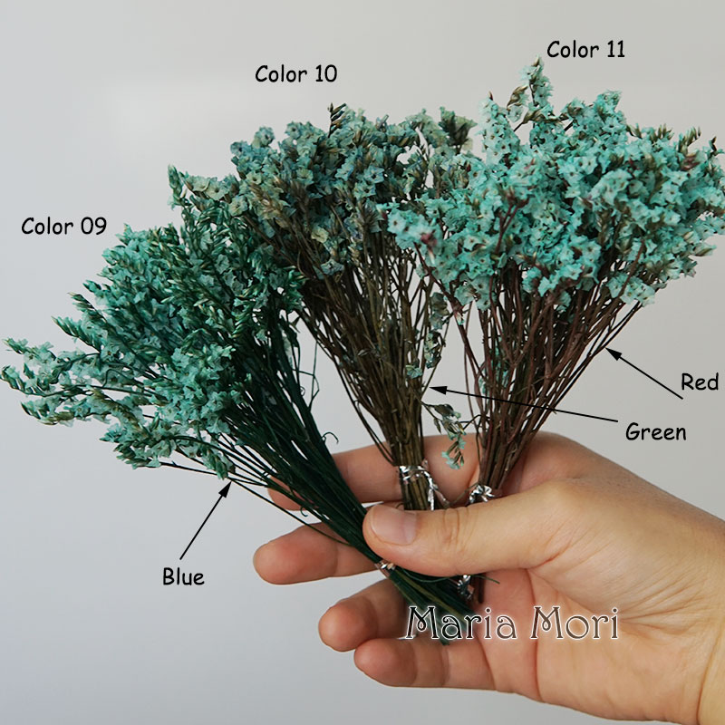 5g/kolorowe Dired zachowane kr – Dried Flower Bunch recenzja i cena