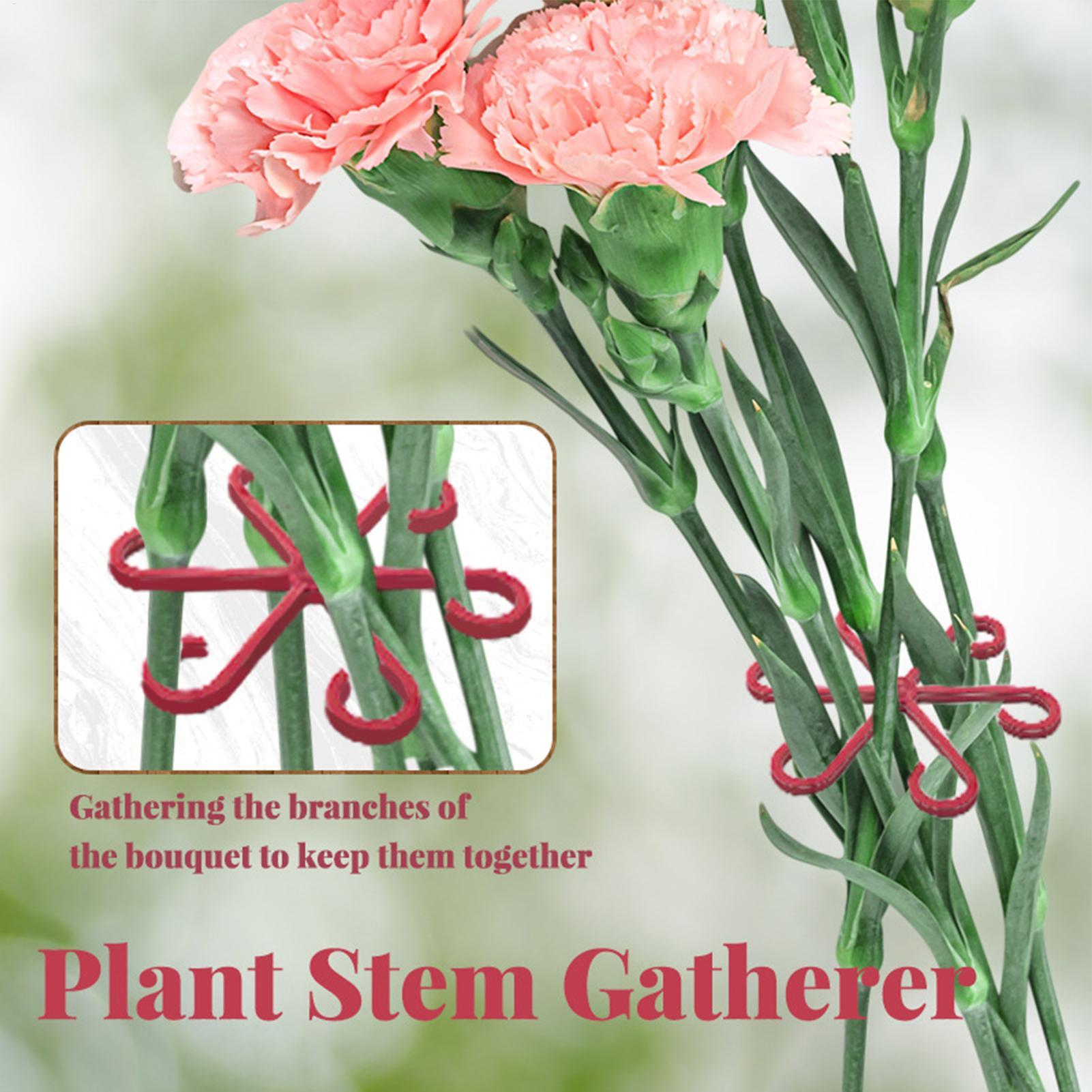 4 szt. Klipsy do mocowania roś – Florist Supply Bulk recenzja i cena