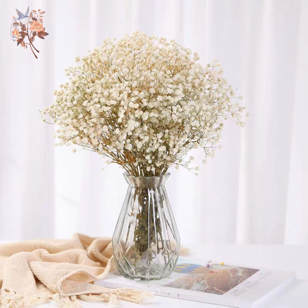60g Suszony Bukiet Kwiatów Bab – Dried Flower Bunch recenzja i cena