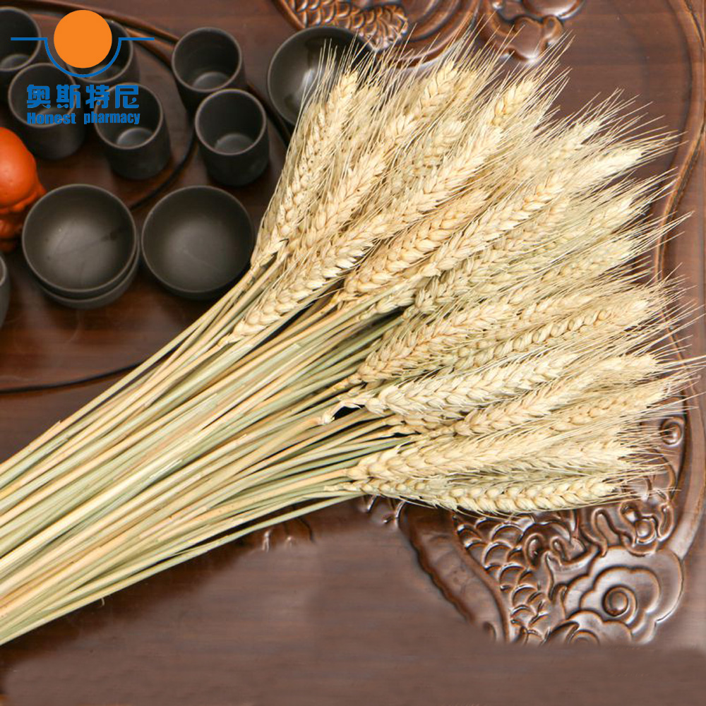 50 szt. naturalnych suszonych  – Dried Flower Bunch recenzja i cena