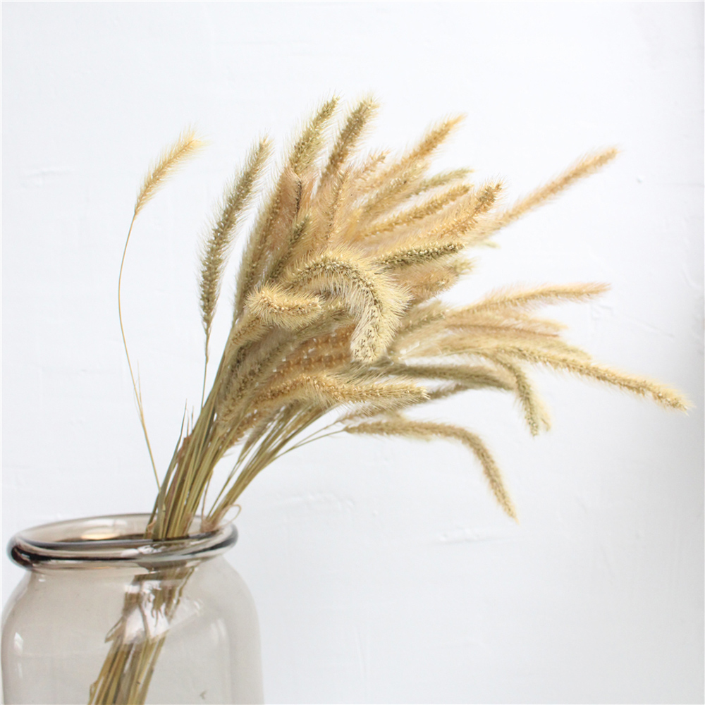 200 sztuk naturalnych suszonyc – Dried Flower Bunch recenzja i cena