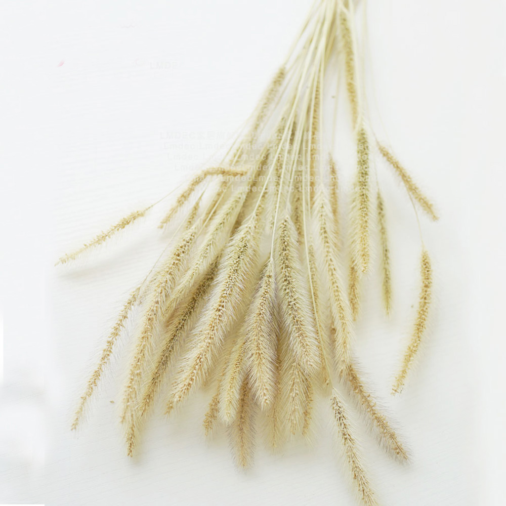 200 sztuk naturalnych suszonyc – Dried Flower Bunch recenzja i cena