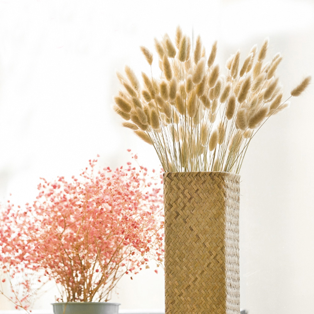 200 sztuk naturalnych suszonyc – Dried Flower Bunch recenzja i cena