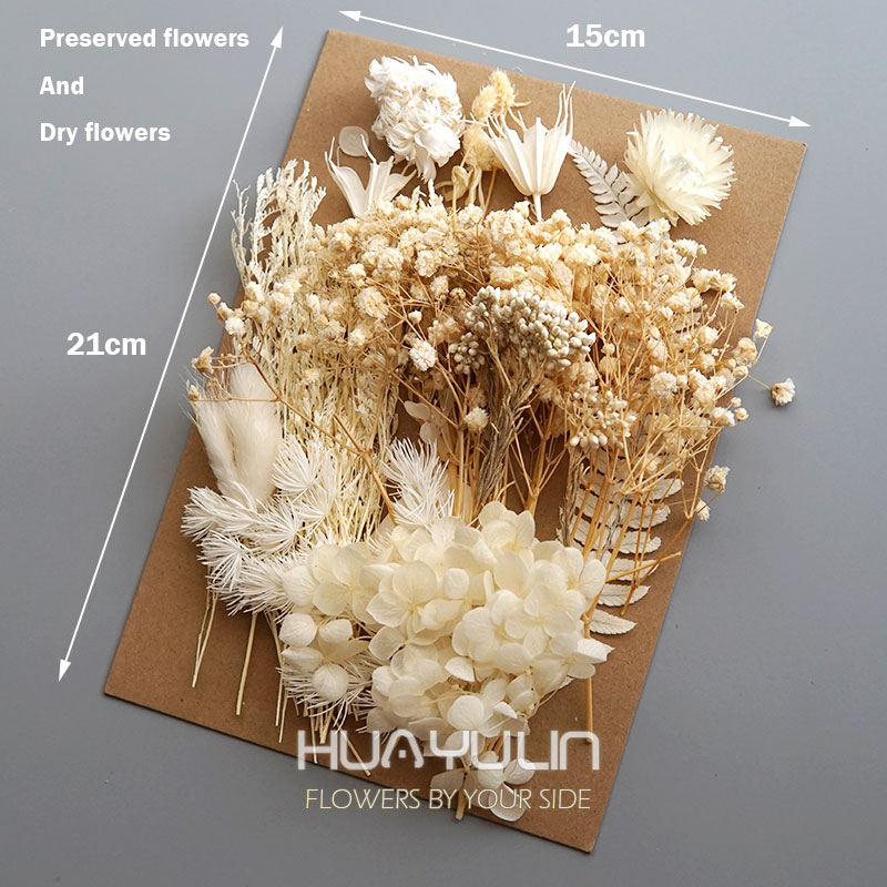 1 opakowanie sztuczne rośliny  – Dried Flower Bunch recenzja i cena