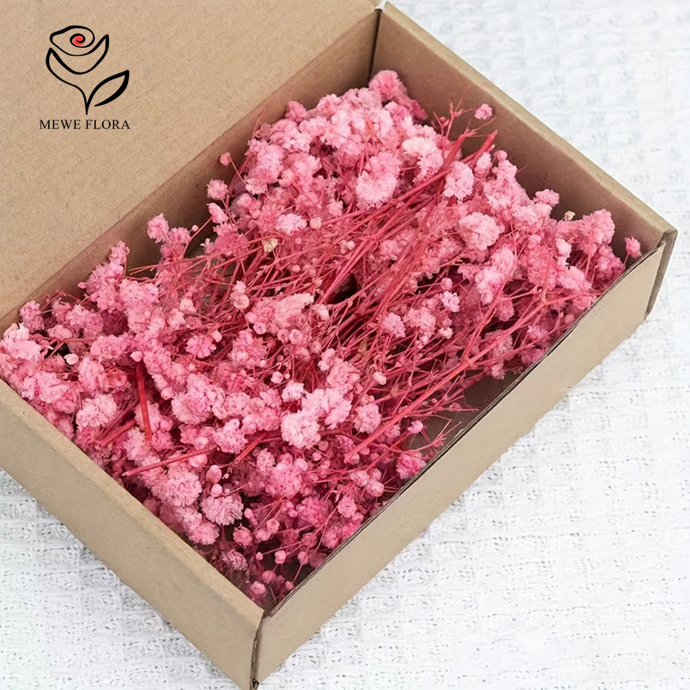 100 Małe Suszone Gałązki Gipsó – Dried Flower Bunch recenzja i cena