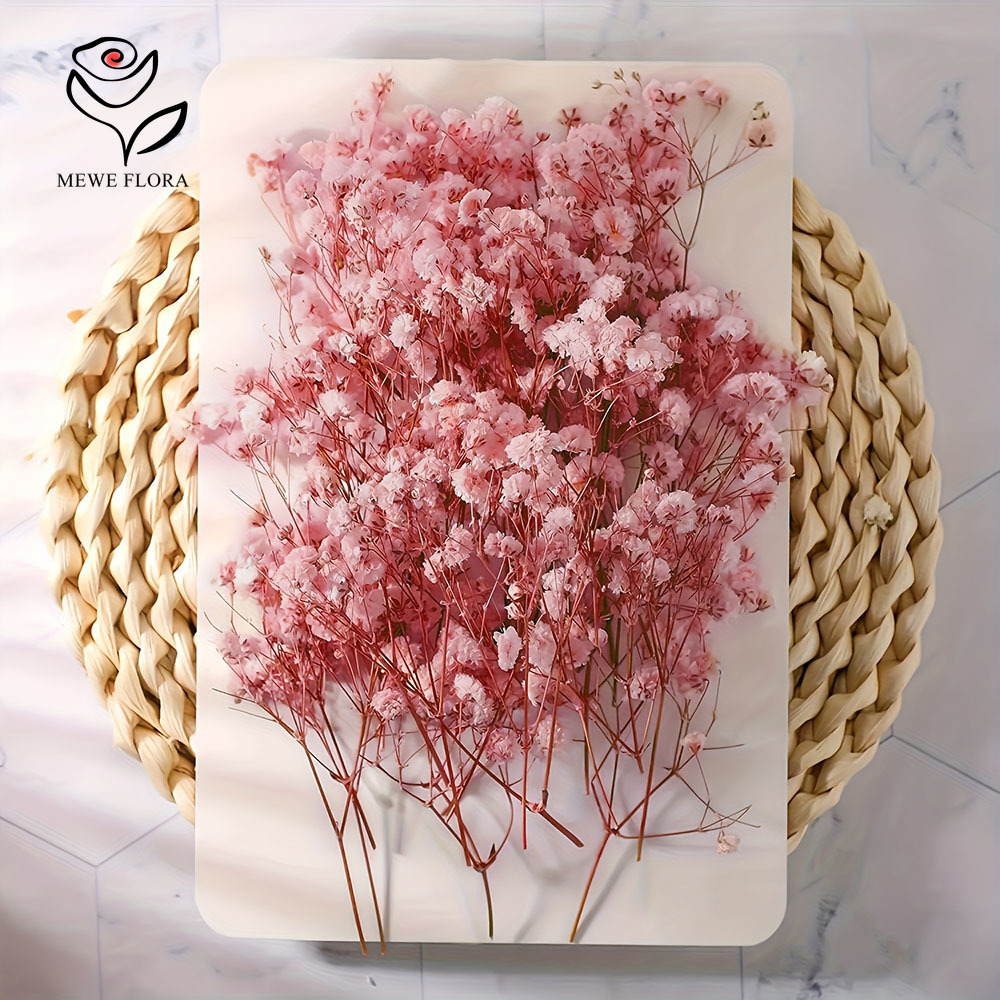 100 Małe Suszone Gałązki Gipsó – Dried Flower Bunch recenzja i cena